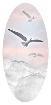 Journey Home Clouds Birds Pink